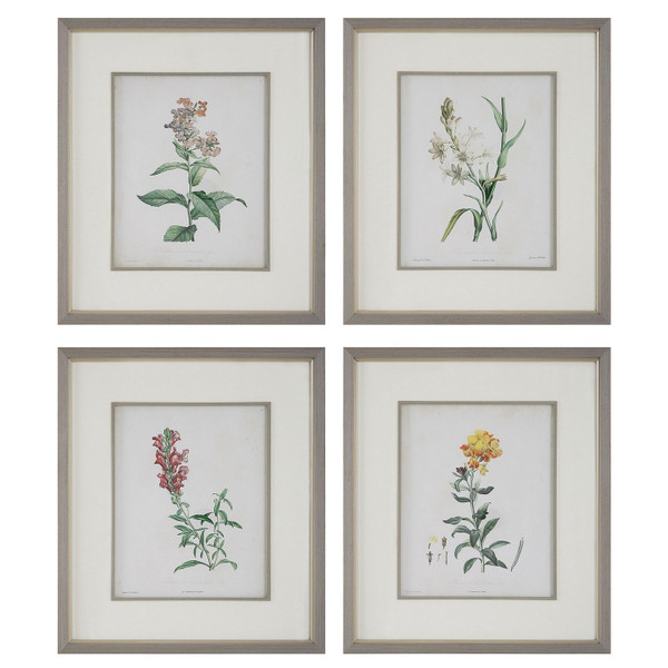 Uttermost - 32285 - Framed Prints Set/4 - Heirloom Blooms - Gray