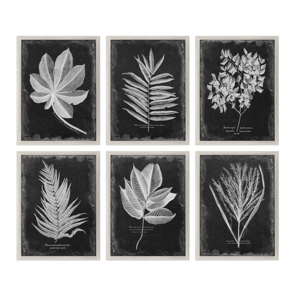 Uttermost - 33671 - Wall Art - Foliage - Champagne Silver