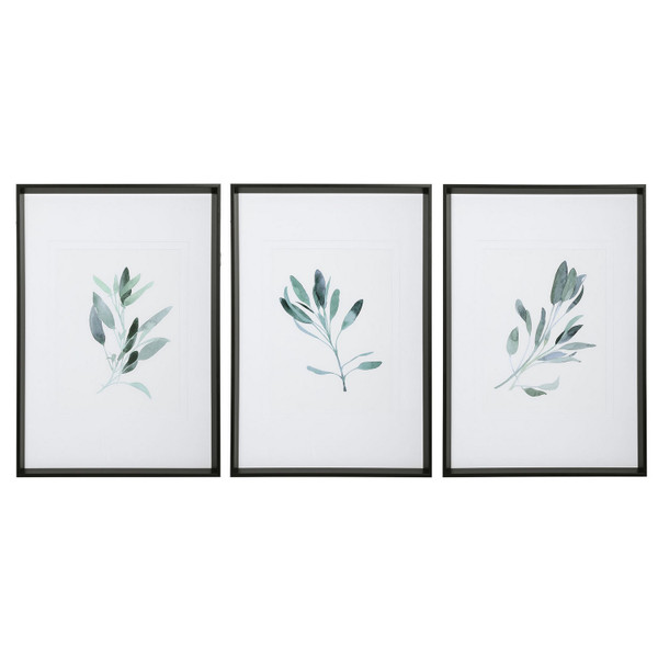 Uttermost - 33723 - Wall Art - Simple Sage - Black