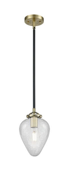 manufacturer_finish:Black Antique Brass|manufacturer_glass:Clear Crackle Geneseo|light_output:220.00lm|color_temperature:2200K|cri:99