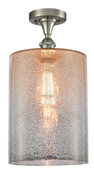 manufacturer_finish:Brushed Satin Nickel|manufacturer_glass:Mercury Large Cobbleskill|light_output:220.00lm|color_temperature:2200K|cri:99
