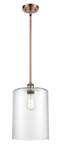 manufacturer_finish:Antique Copper|manufacturer_glass:Clear|light_output:220.00lm|color_temperature:2200K|cri:99