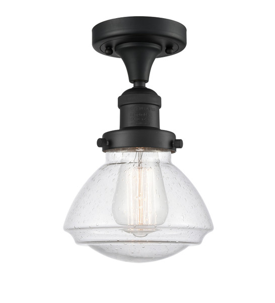 manufacturer_finish:Matte Black|manufacturer_glass:Seedy Olean|light_output:245.00lm|color_temperature:2100K|cri:98