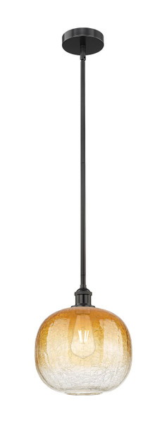 Innovations - 616-1S-BK-G481-10AM - One Light Mini Pendant - Edison - Matte Black