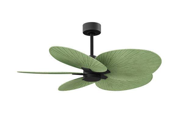 Matthews Fan Company - AKTP-BK-PL - Five Blade Ceiling Fan - Alessandra Tropical - Matte Black
