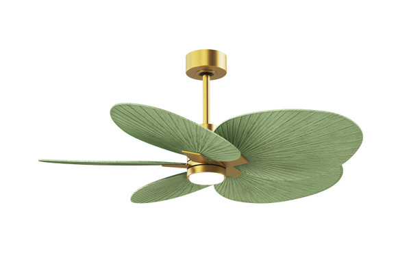 Matthews Fan Company - AKTPLK-BRBR-PL - Five Blade Ceiling Fan - Alessandra Tropical - LK - Brushed Brass