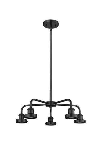 manufacturer_finish:Black Antique Brass