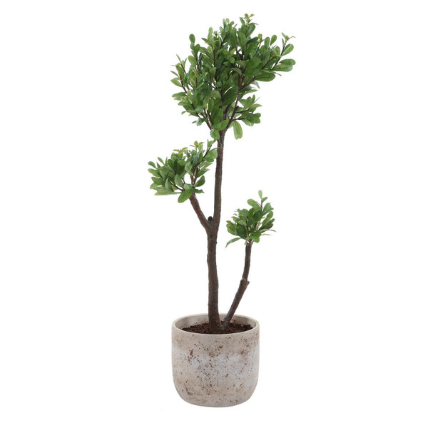 Uttermost - 60266 - Tree - Arbor Strawberry - Aged Ivory