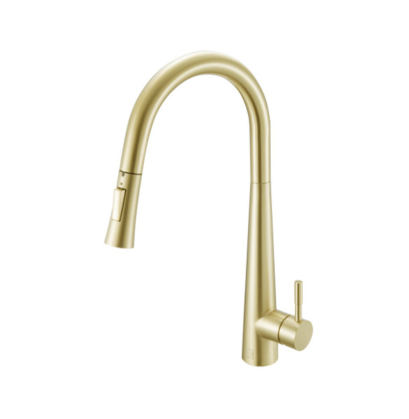 Elegant Lighting - FAK-301BGD - Kitchen Faucet - Lucas - Brushed Gold