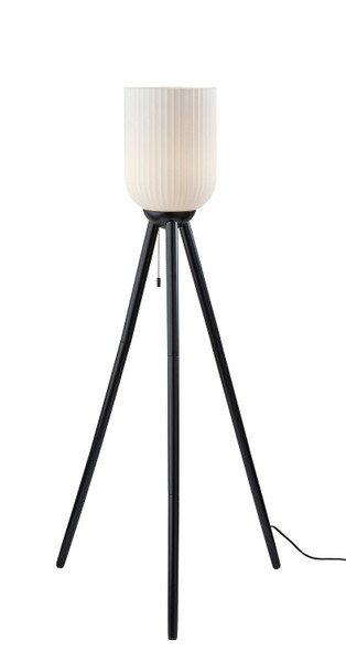Adesso Home - 1630-01 - Floor Lamp - Kinsley - Black