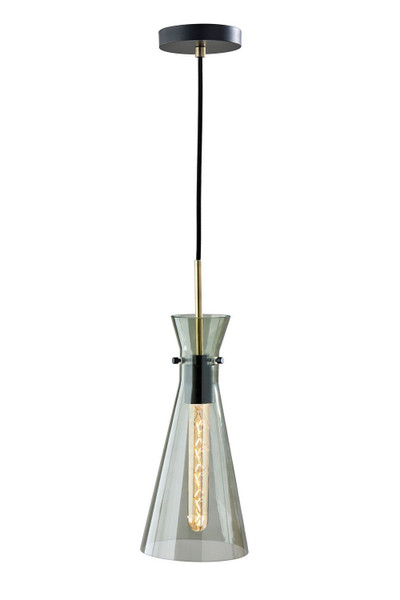 Adesso Home - 3736-21 - Pendant - Walker - Black
