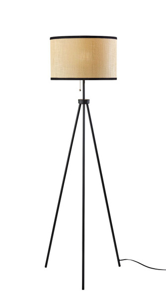 Adesso Home - 3954-01 - Floor Lamp - Raven - Black