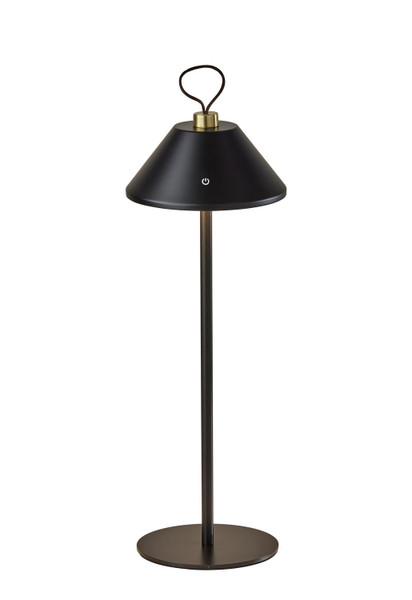 Adesso Home - 4091-01 - LED Table Lamp - Danny - Black & Antique Brass