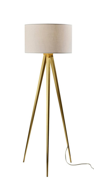 Adesso Home - 6424-21 - Floor Lamp - Director - Antique Brass