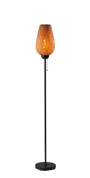 Adesso Home - 2139-12 - Floor Lamp - Hugo - Black
