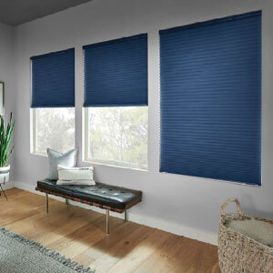 room featuring blue window shades