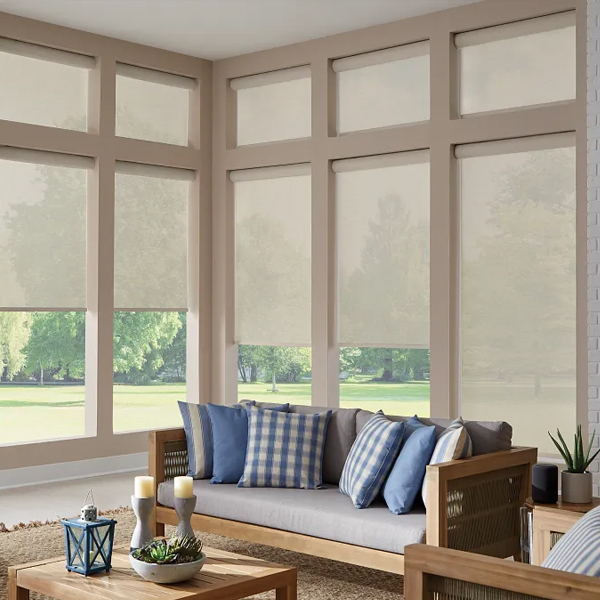 Window Shades