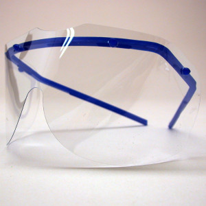 Disposable Eyewear (box of 50)