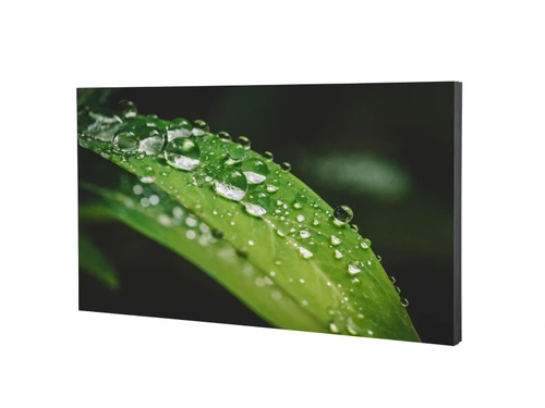 Dahua LS490UCM-UF