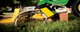 John Deere Lawn Mower Belts