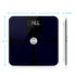 Vitalis ITO Body Fat Scale