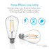 8W LED Edison Bulb 4000K (Cool White)