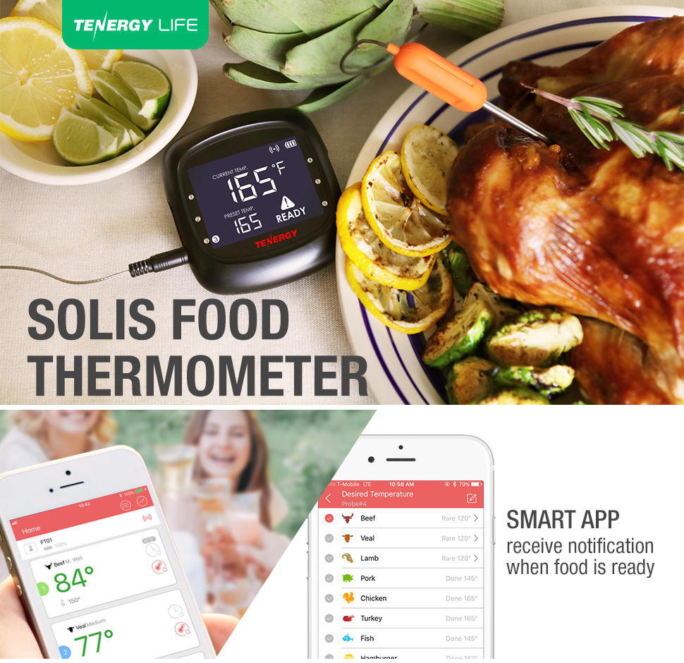 Solis Digital Thermometer (2 Probes) - Tenergy