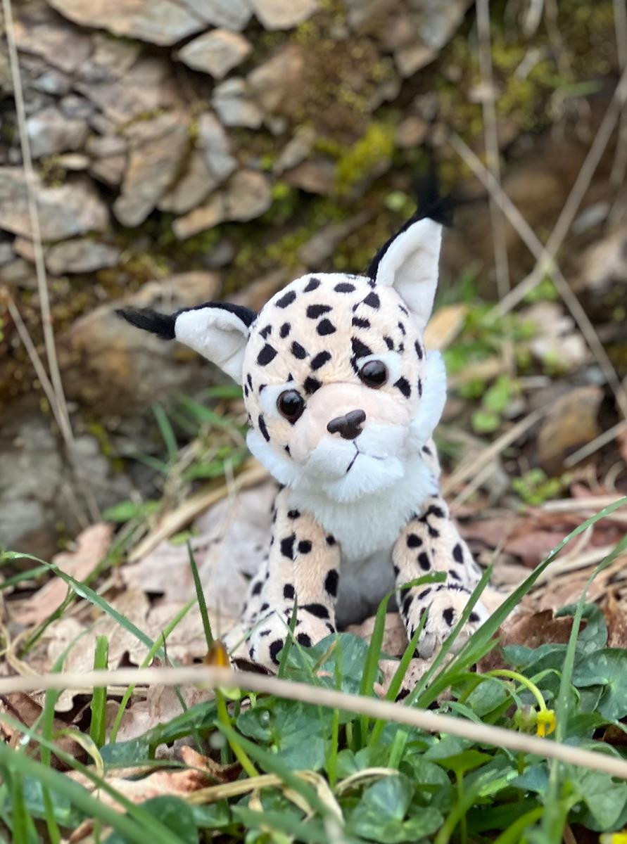 Cuddle Cub Lynx | Adorable & Soft Plush Toy | Charlie Bears
