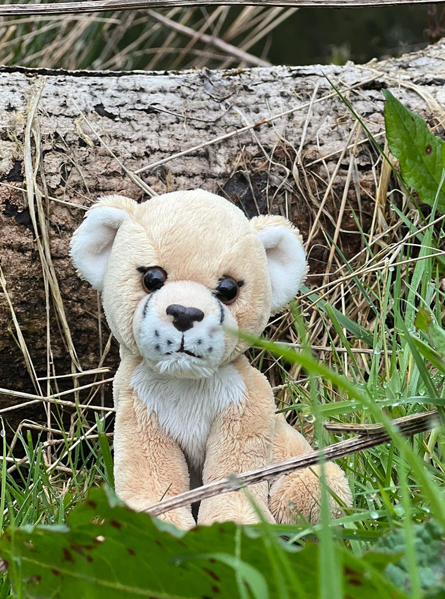 Charlie Bears - Cuddle Cub Lioness