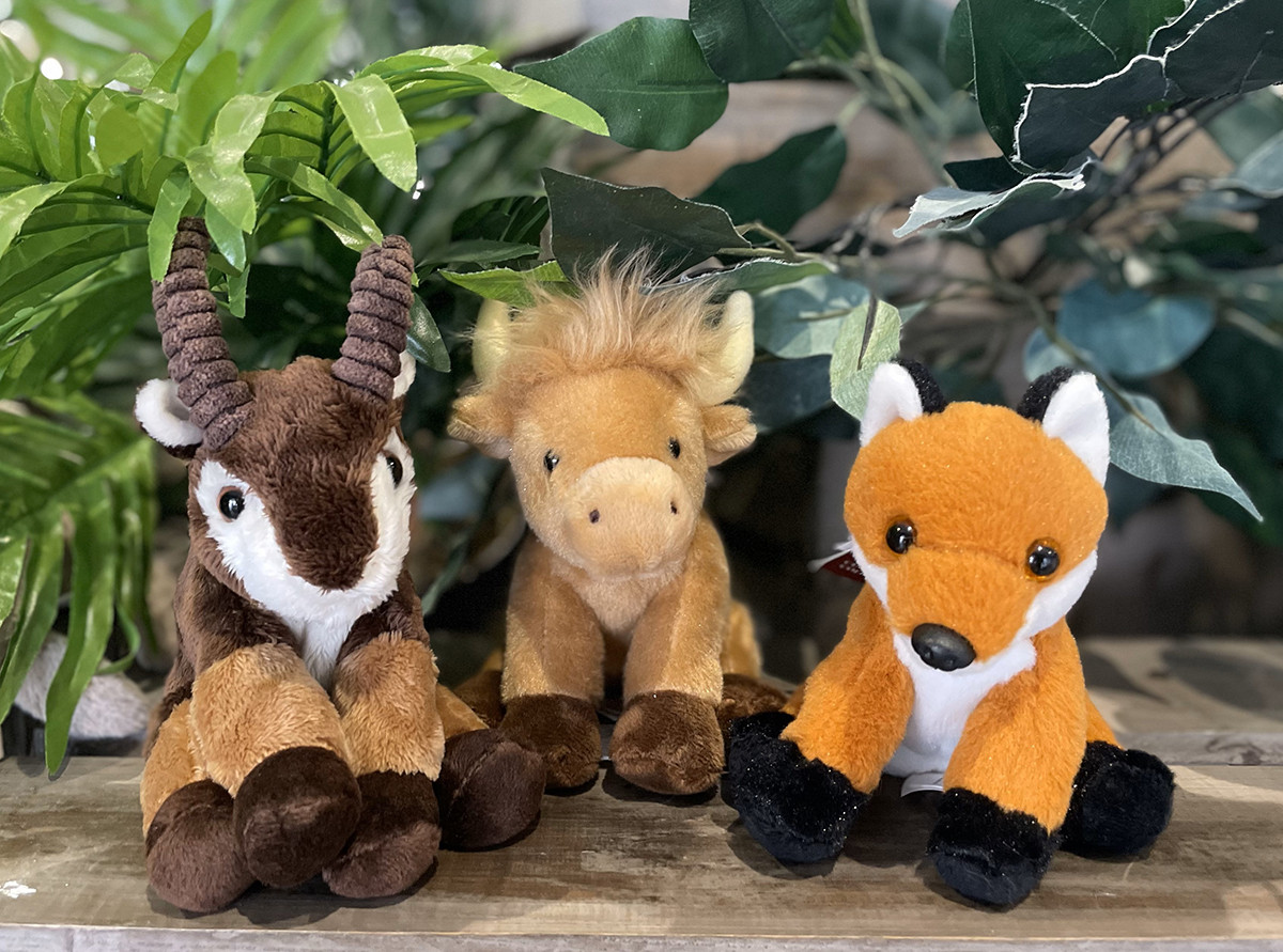 Discover - Charlie Bears USA