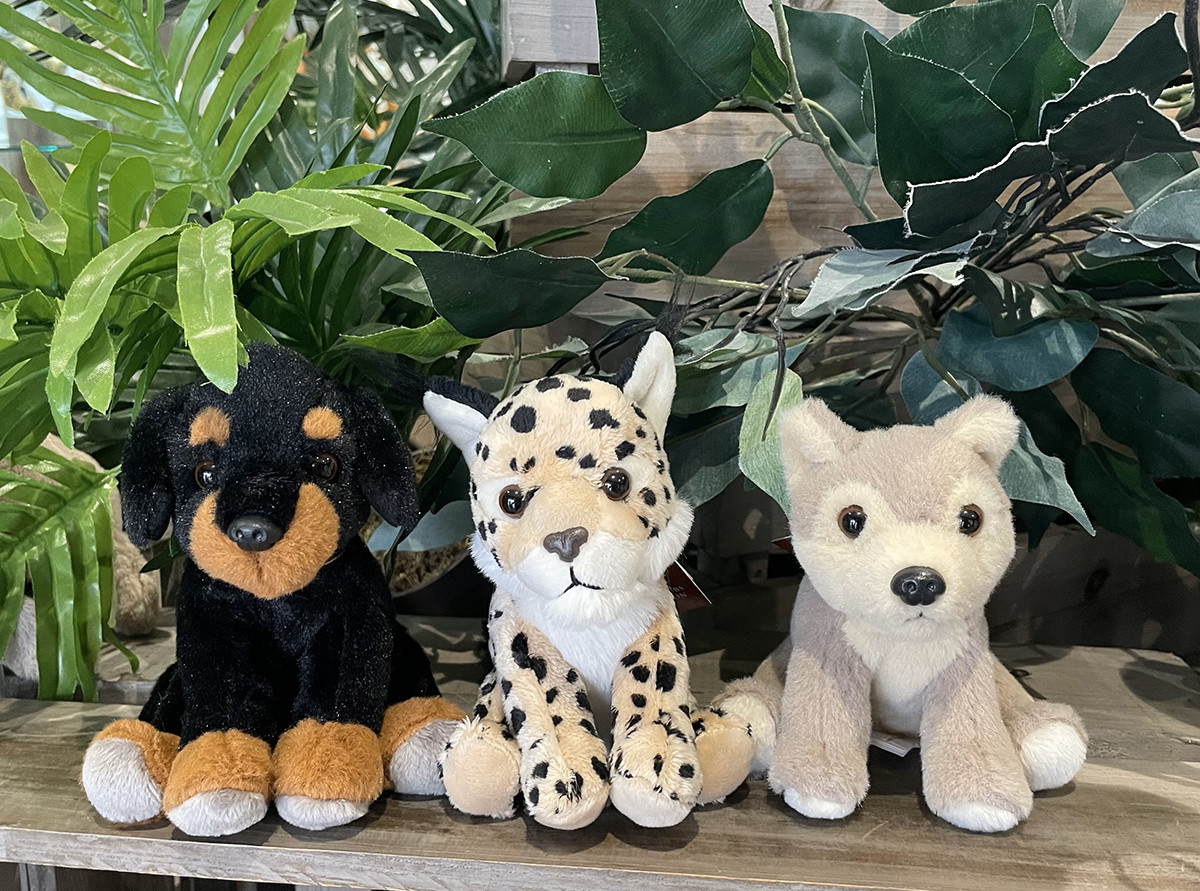 Cuddle Cubs Bear Bundle | Heartwarming Collectible | Charlie Bears