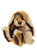 A plush lop-eared rabbit Charlie Bear sits upright, featuring cream, tan, and dark brown patchy fur with dark brown paw pads and a sheer bronze organza ribbon bow at its neck.