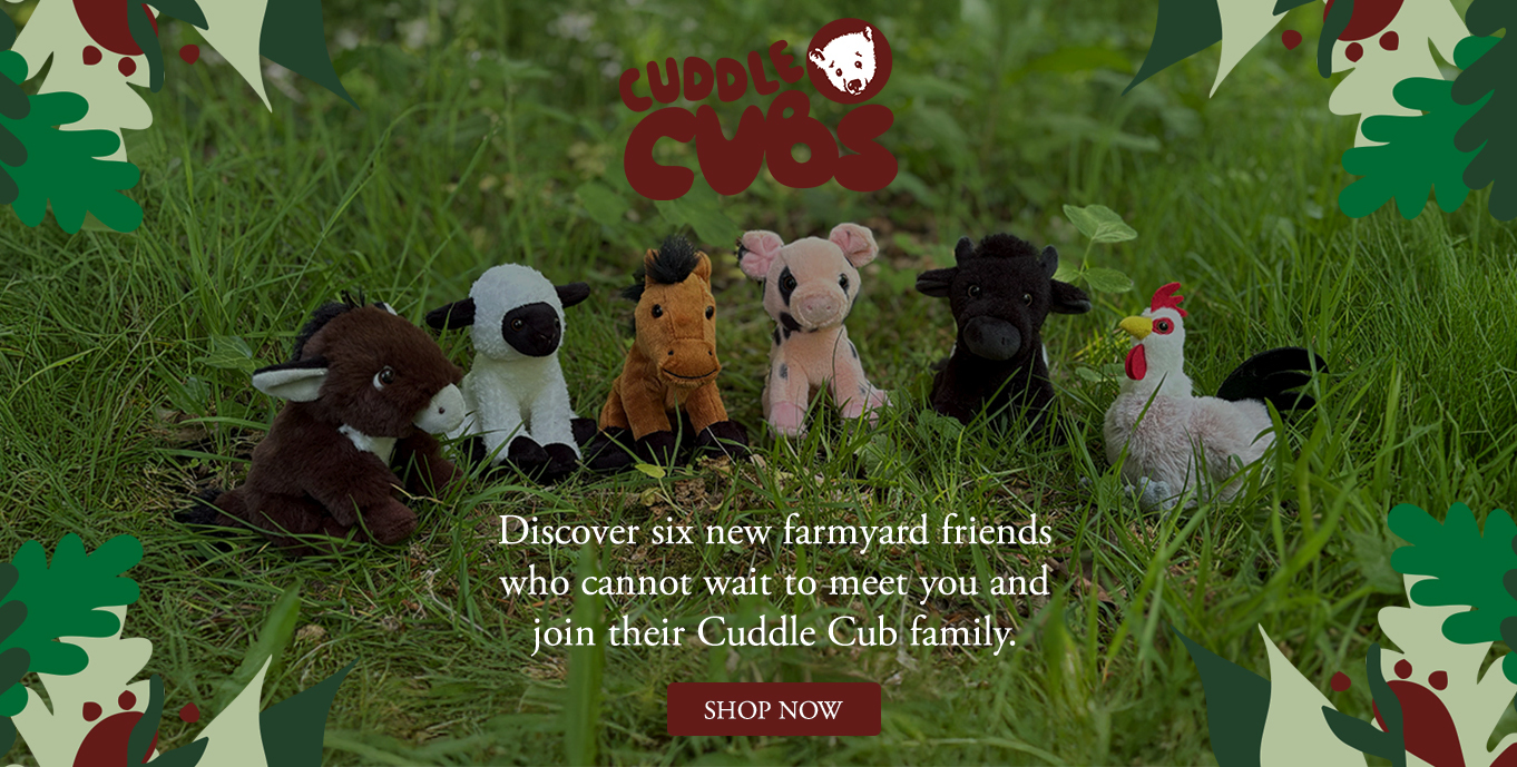Charlie Bears Direct USA | Collectible Teddy Bear Brands