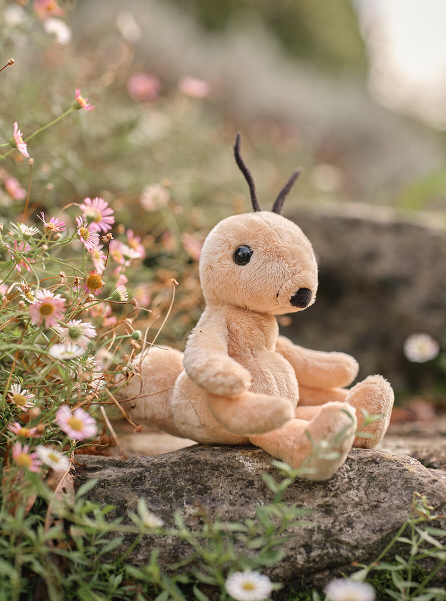 Say Hello to Tony Ant