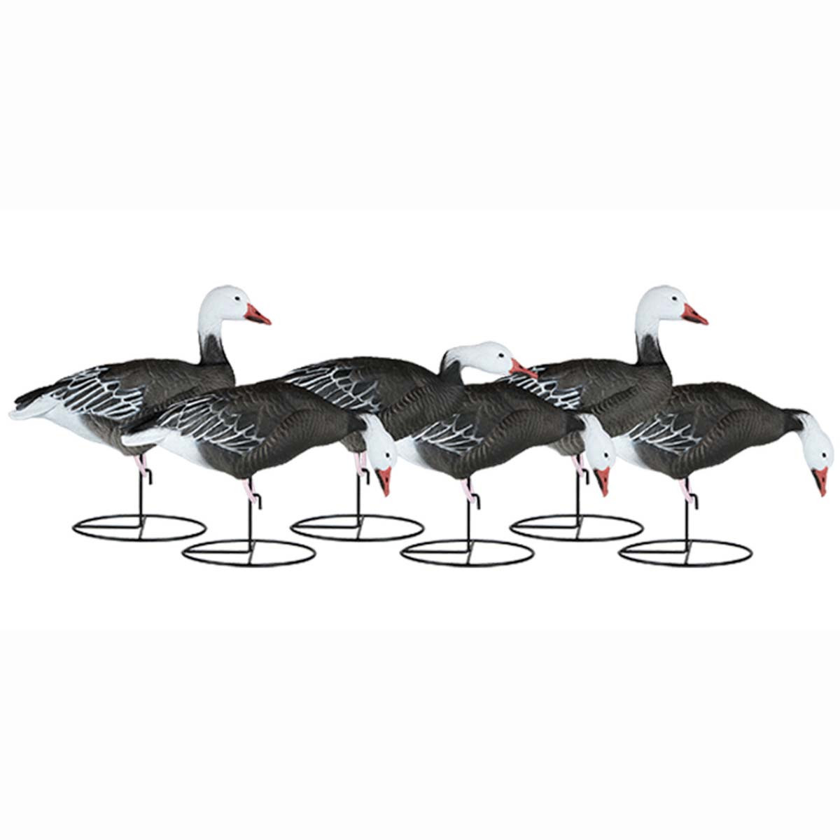 DOA Decoys Rogue Series Floating Goose Decoys, 6 Pack Rogers Sporting