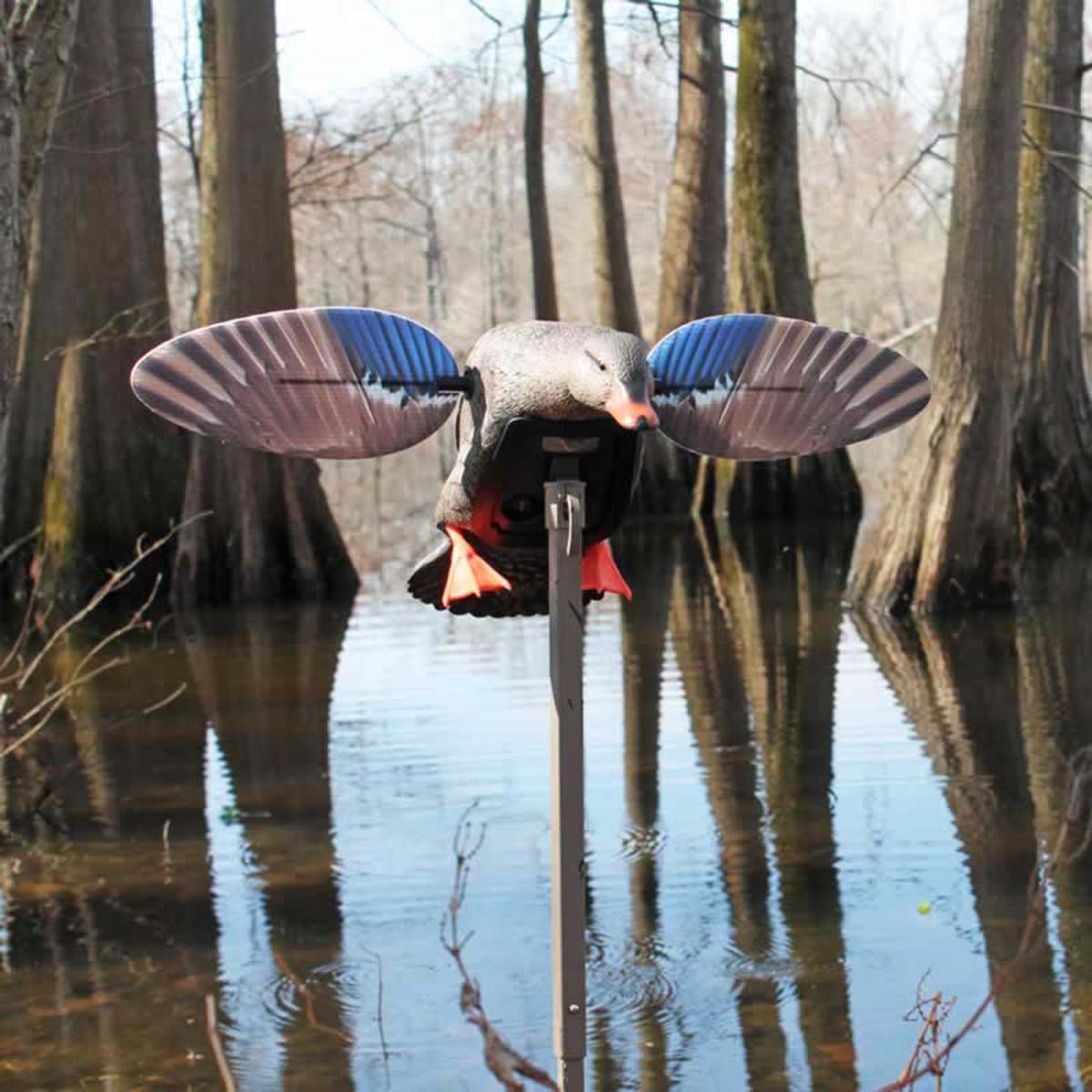 Mojo Outdoors Elite Series Mini Mallard Hen Motorized Duck Decoys