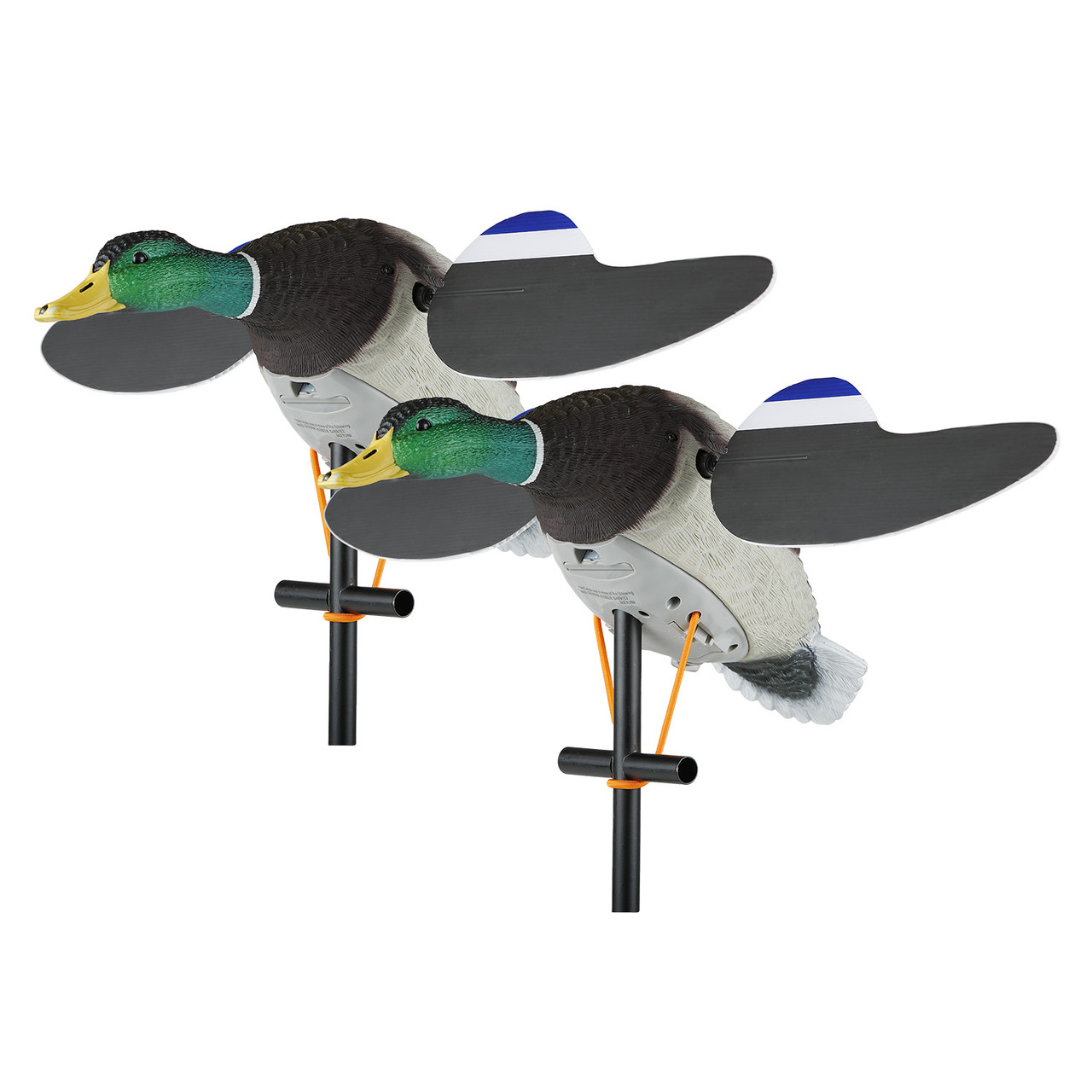 Lucky Duck Junior Drake Mallard Decoys Twin Pack Rogers Sporting Goods