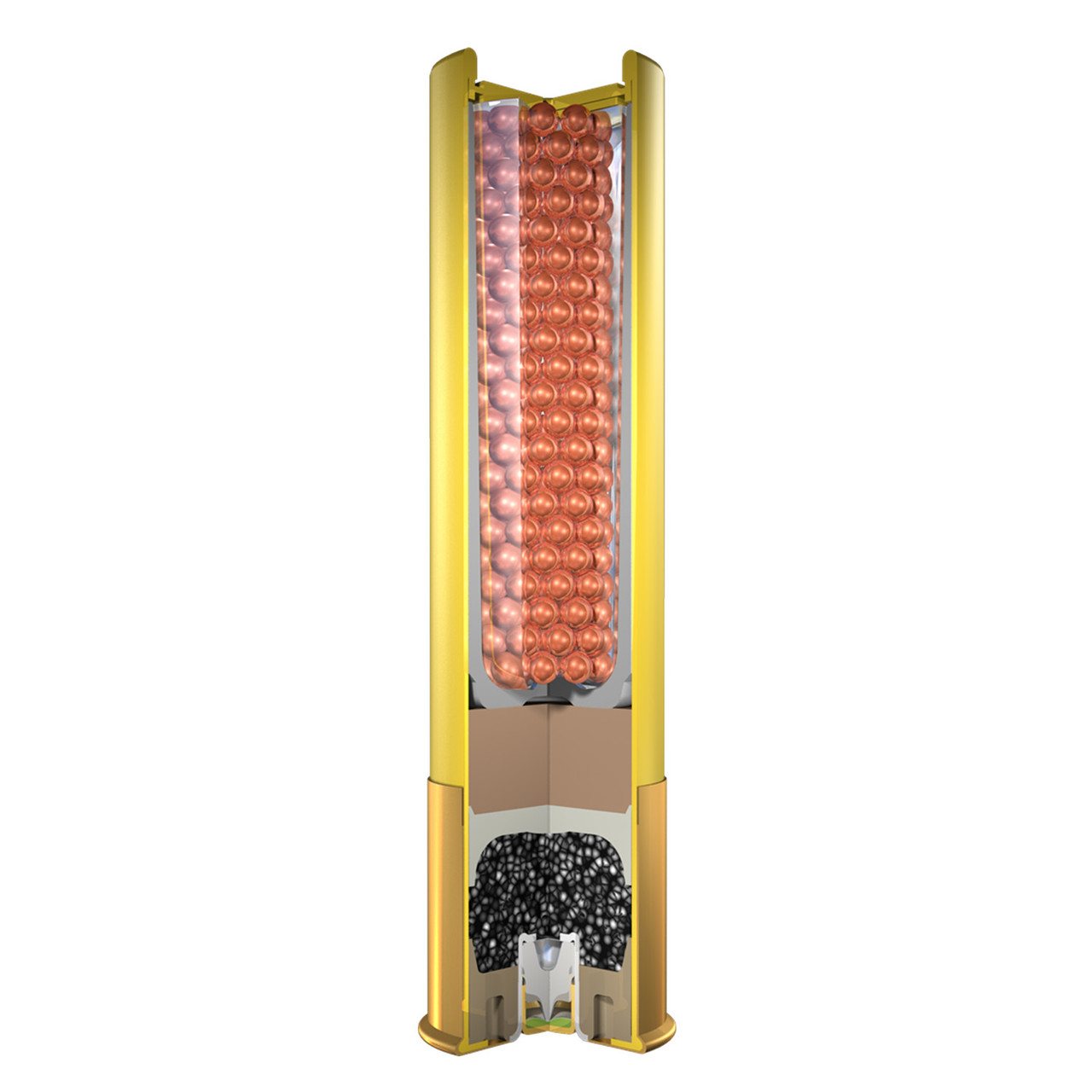Winchester 20 Gauge 3