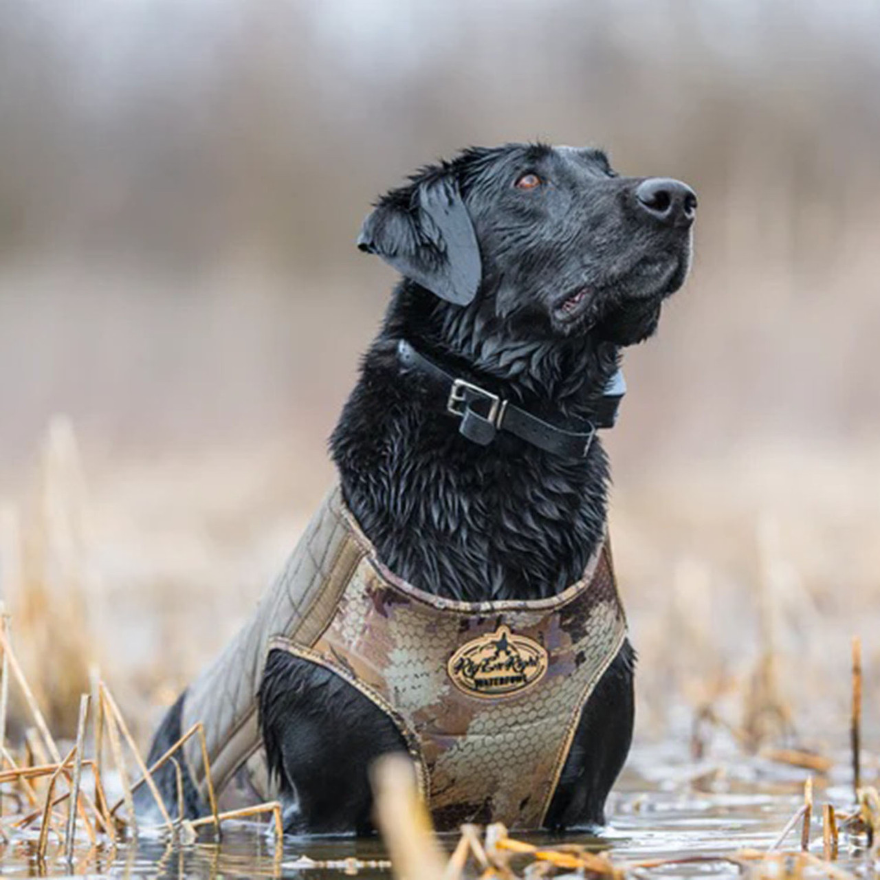 Rig'Em Right Bloodline Elite Dog Vest, Optifade Timber Rogers