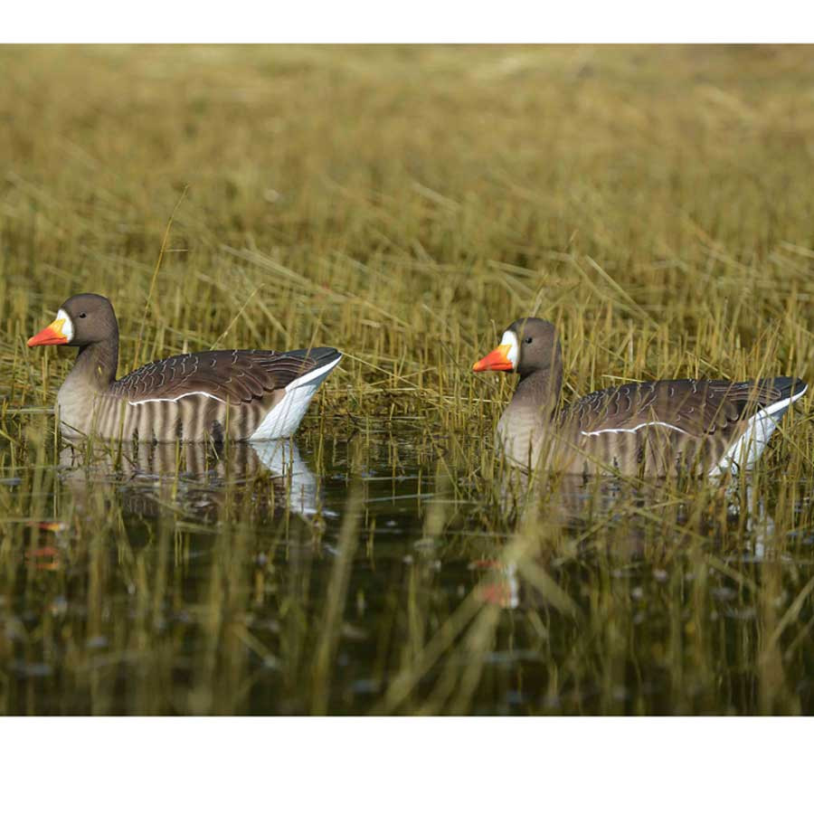 GHG ProGrade Active Specklebelly Floating Goose Decoys, 4 Pack