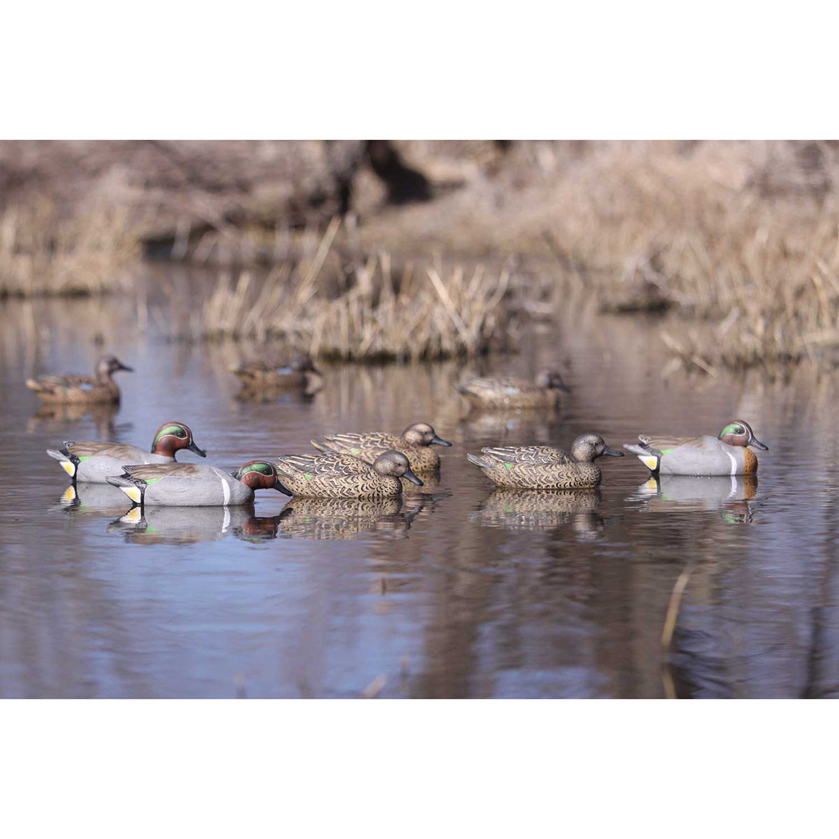 Avery 73123 Pro-Grade Green-Winged Teal, 6 Pack | Rogers Sporting