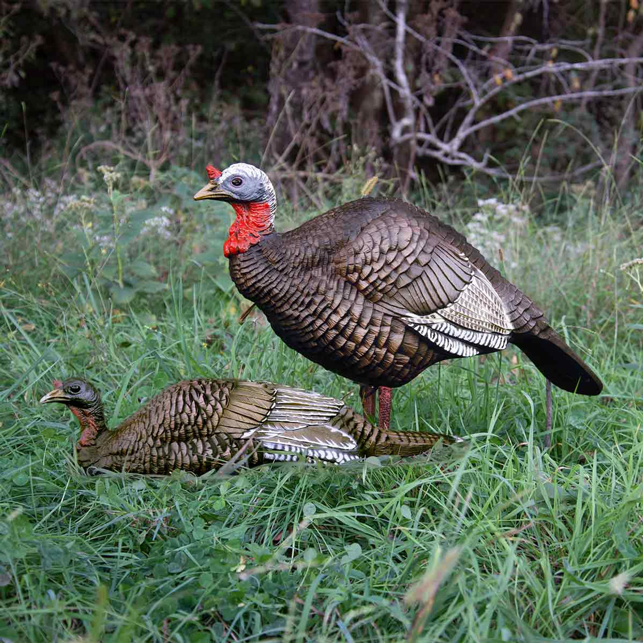 Higdon Jake and Jill Turkey Decoy Combo Rogers Sporting Goods