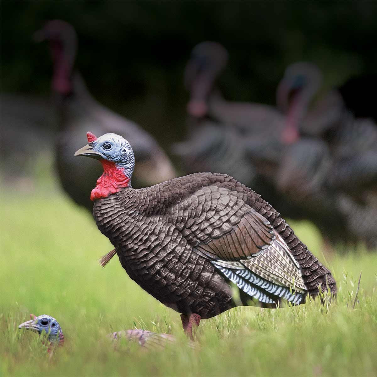 Higdon Jake and Jill Turkey Decoy Combo | Rogers Sporting Goods