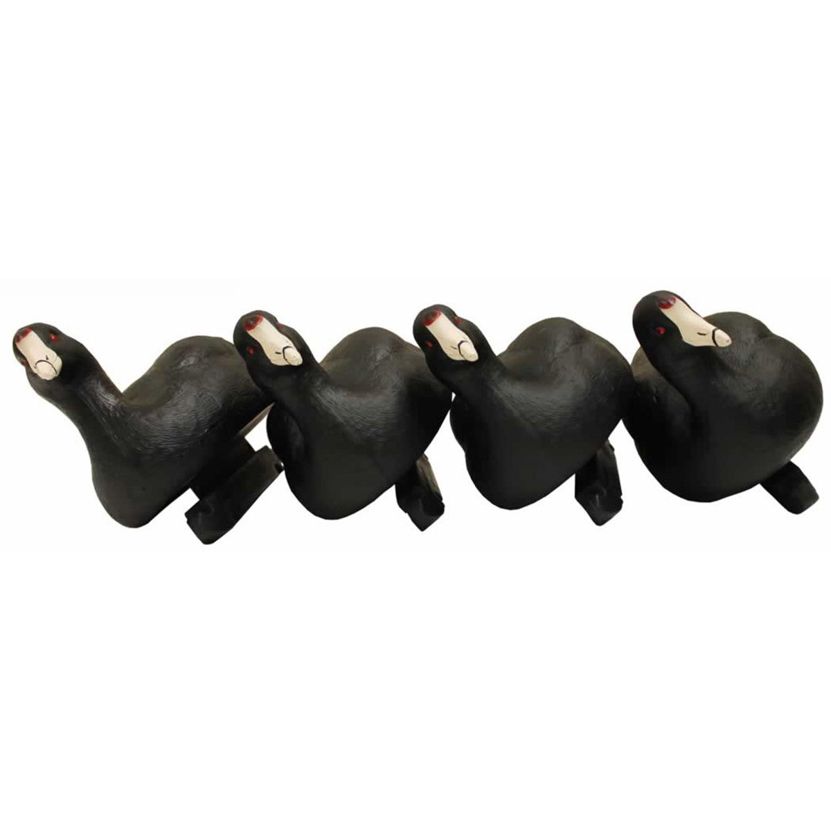 Mojo Outdoors Mojo Coot Confidence Duck Decoys 6 Pack Rogers