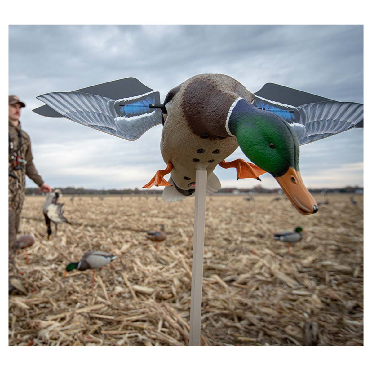 Avian-X Powerflight Motion Mallard - Thumbnail 3