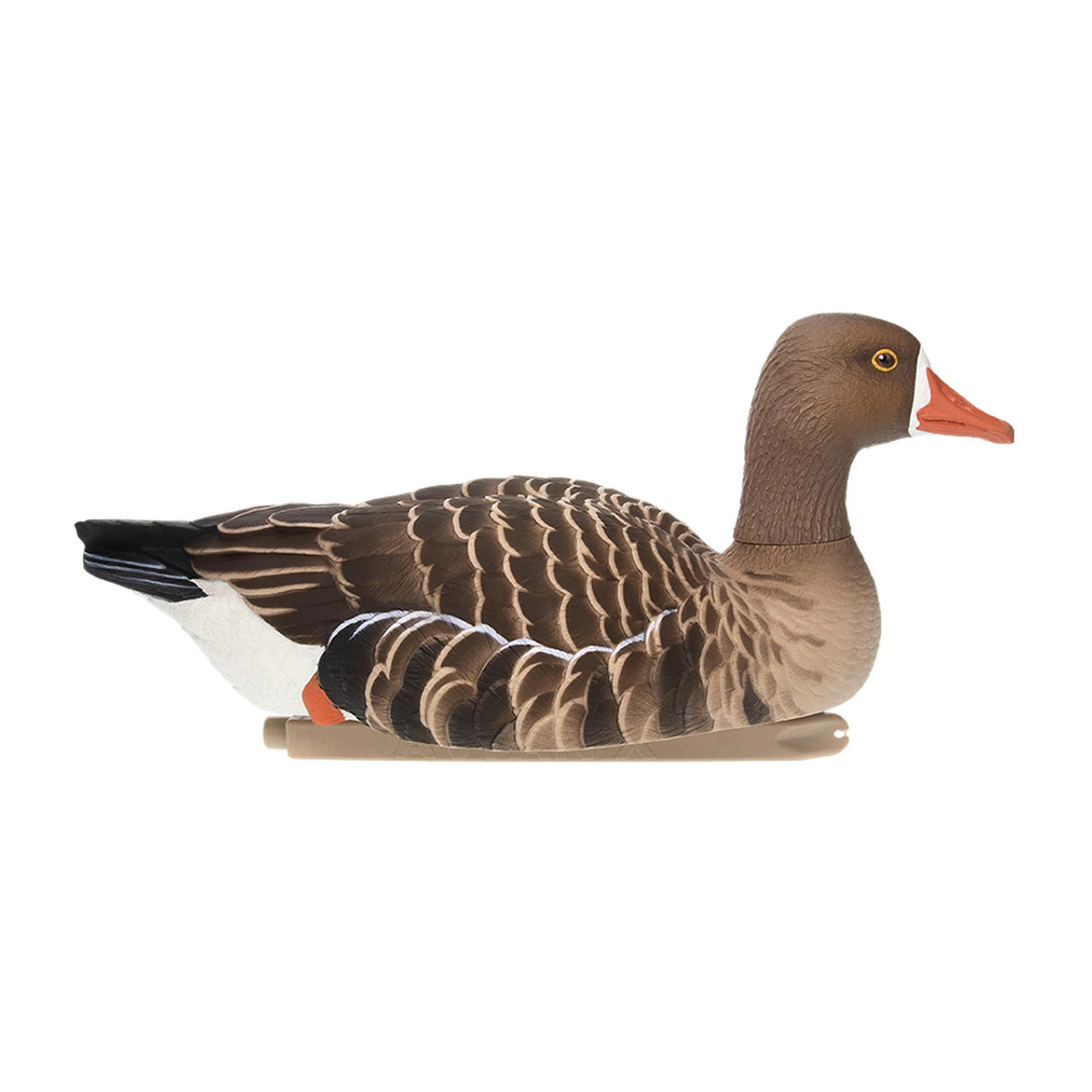 306308 Upright/High - Specklebelly Goose