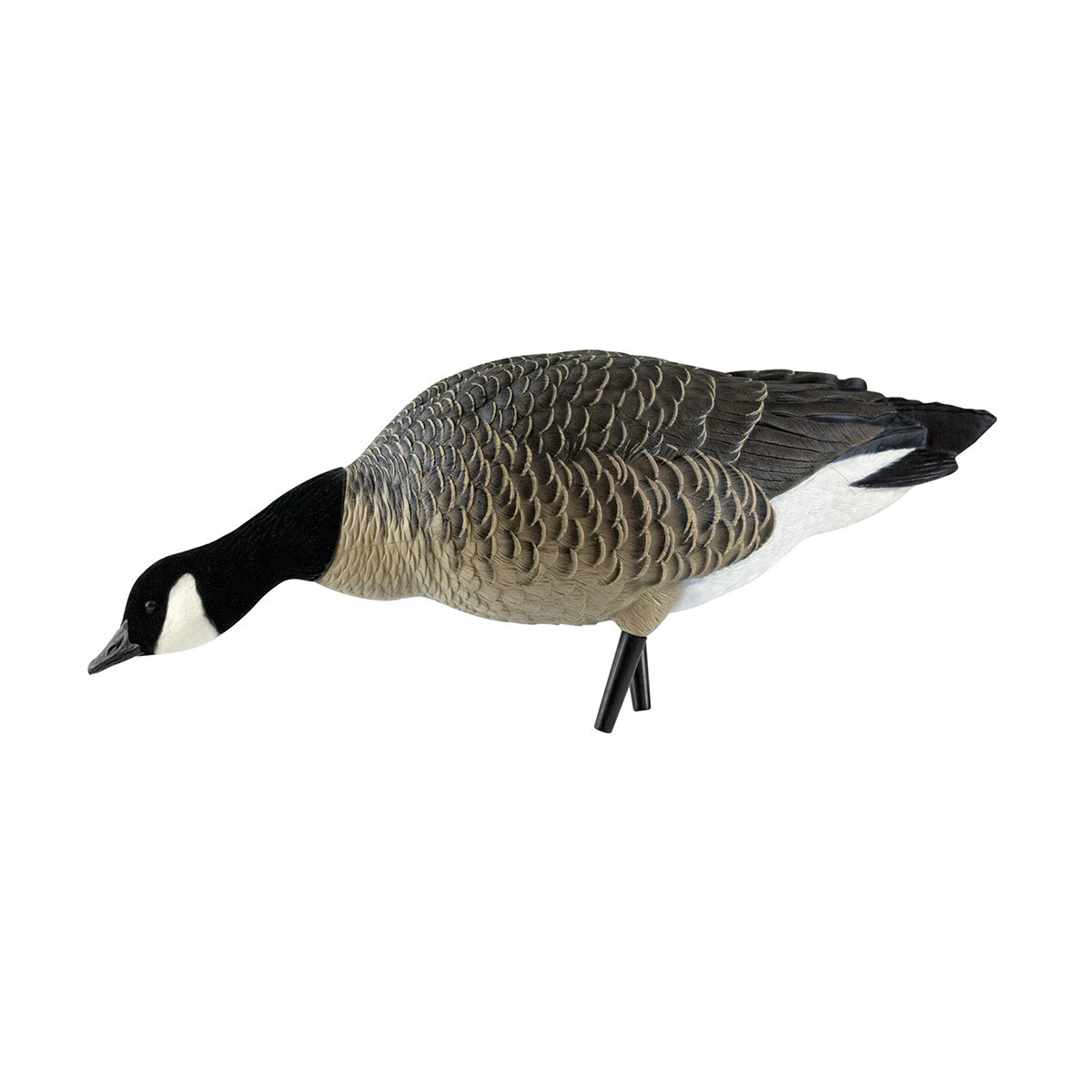 Avian-X AXF Outfitter Lesser Pack Fully Flocked Decoys, 12 Pack