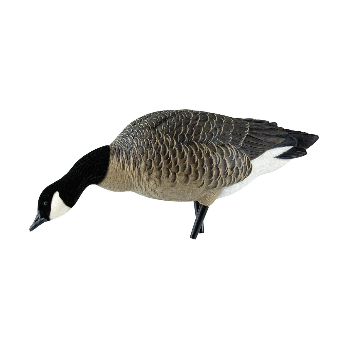 Avian-X AXF Outfitter Lesser Pack Fully Flocked Decoys, 12 Pack