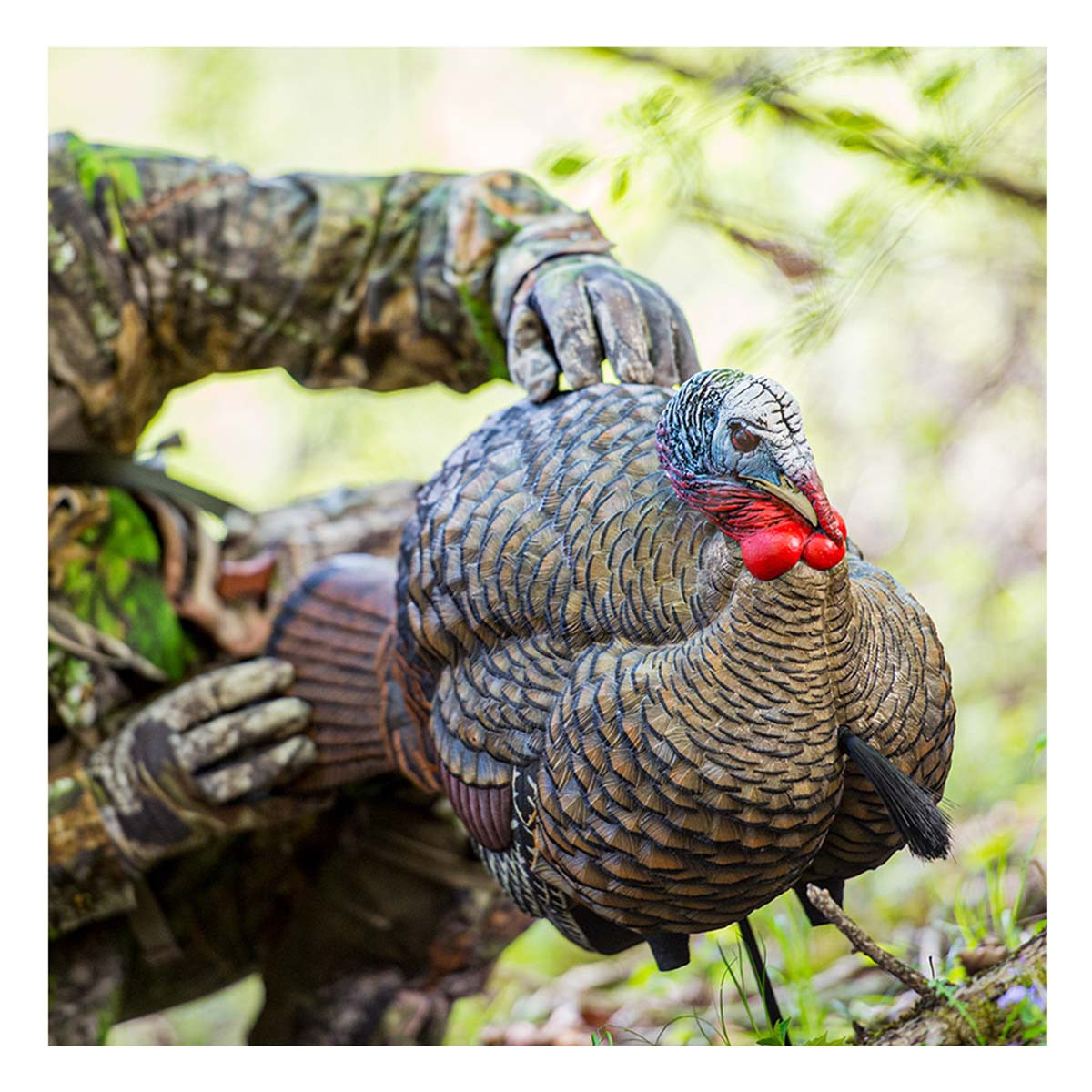 Avian-X 8012 LCD Half-Strut Jake Turkey Decoy | Rogers Sporting Goods