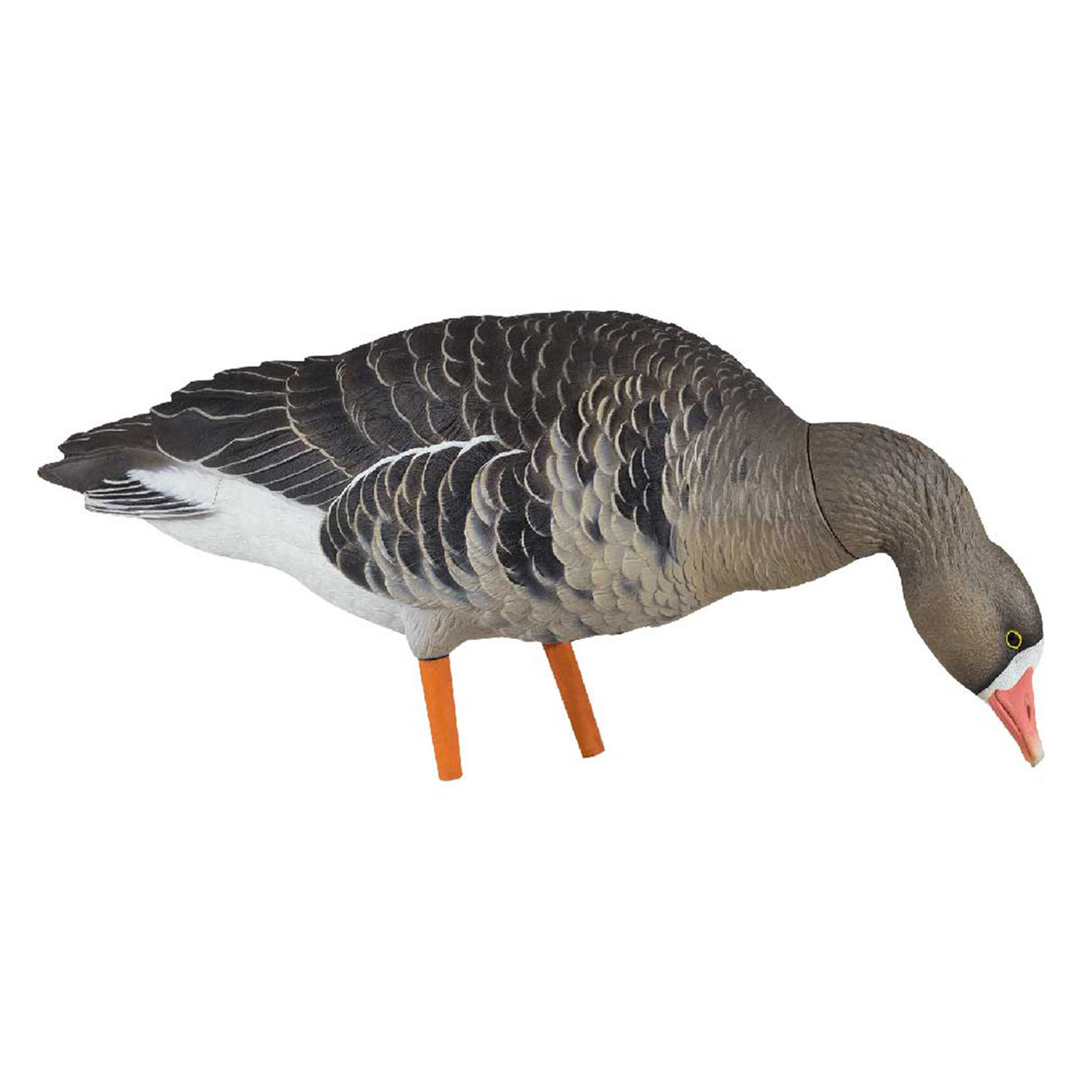 Avian-X AXP Goose Decoys